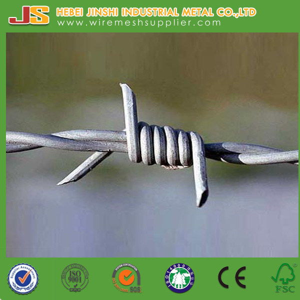 Galvanized Twisted Fence Wire, Barbed Tape, Barbed Wire Fence