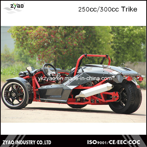 250cc Ztr Motorcycle Trike with EEC Approved