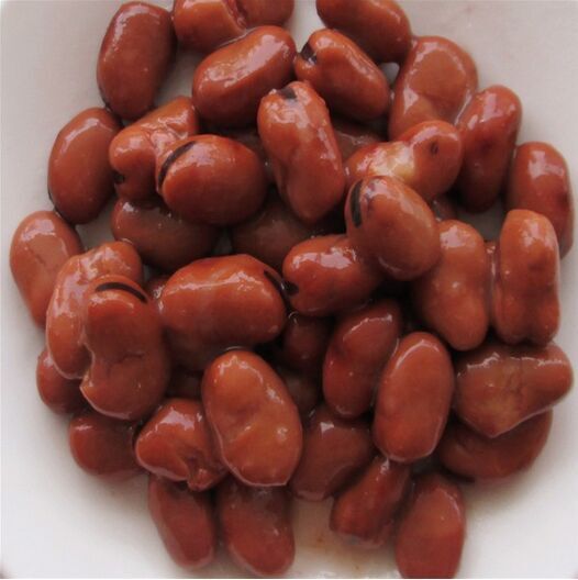 High Quality Canned Fava Bean with Best Price