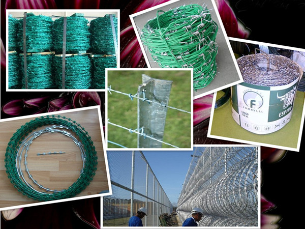 Professional Produce Lowest Price Barbed Wire Hot Dipped 200-500m