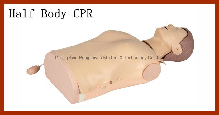 First Aid CPR Manikin, Half Body CPR Training Manikin