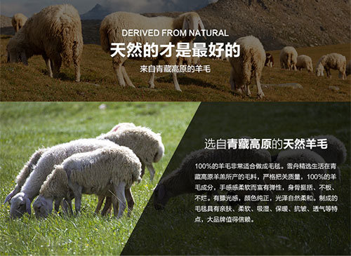 Natural Worsted/Spinning Yak Wool/Tibet-Sheep Wool Carpet Knitting Yarn