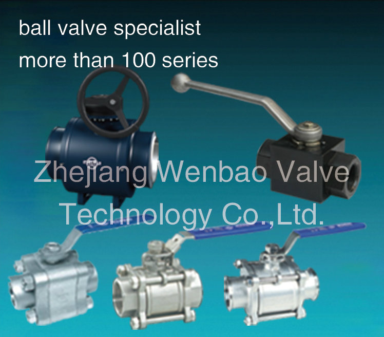 DIN 2PC/3PC Flanged Ball Valve Floating Stainless Steel 304