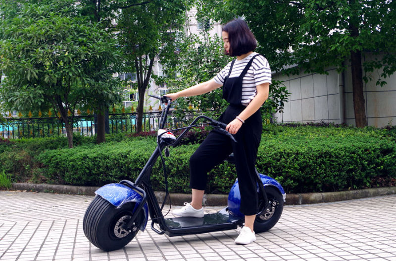 Factory Price Hot Sellling 1000W Electric Scooter with Ce (JY-ES005)