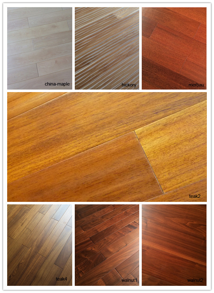 Red Oak Engineer Wood Flooring Free Samples