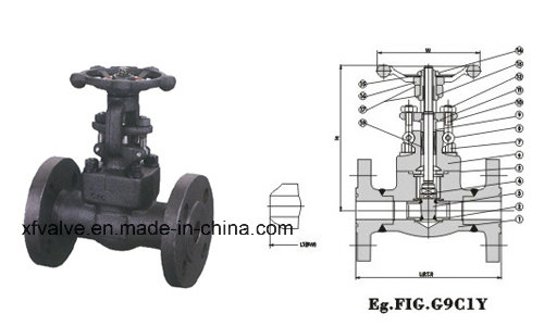 ANSI 1500lb Forged Steel A105 Flange Connection End Gate Valve