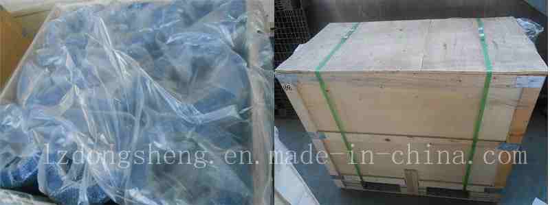 Lift Spring Loaded Check Valve Pn40