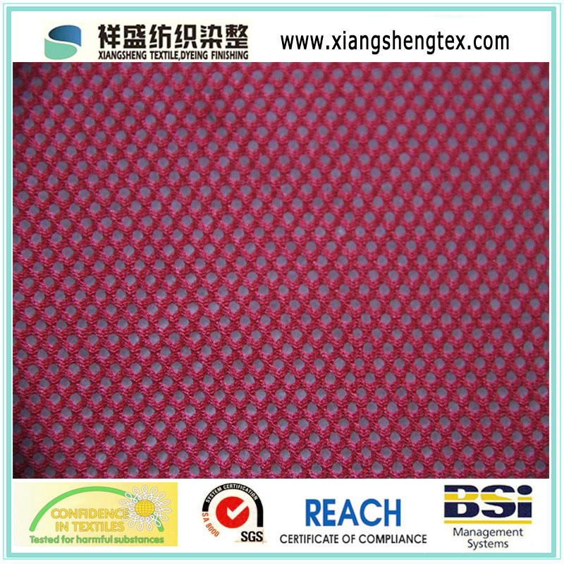 3X3 DTY Eyelet Mesh Fabric