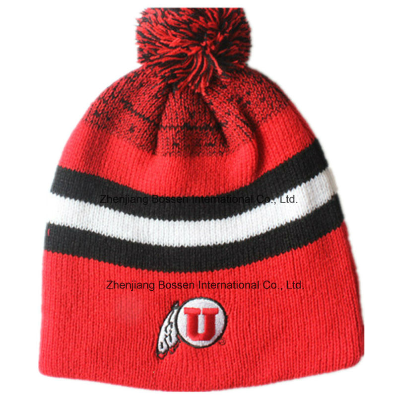 Customized Logo Embroidered Acrylic Wool Winter Ski Sports Warm Knitted Beanie Hat