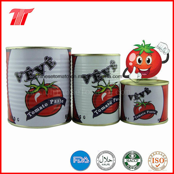 Healthy Canned Tomato Paste of Veve Brand