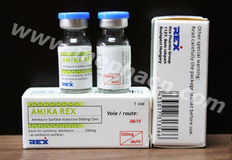 Amikacin Injection 100mg/2ml, 500mg/2ml & Actd/Ctd Dossier of Amikacin