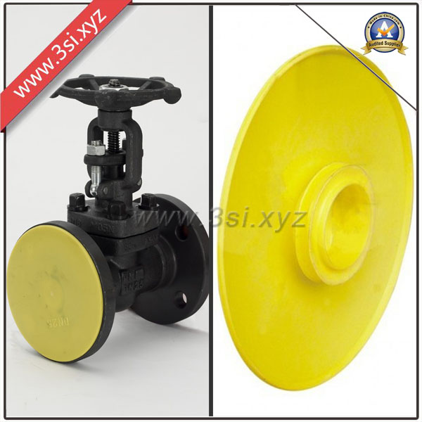 ASTM Plastic Valve Used Flange Covers (YZF-H118)