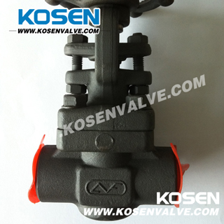 Italy Lvf Type Forged Gate Valve (Z61)