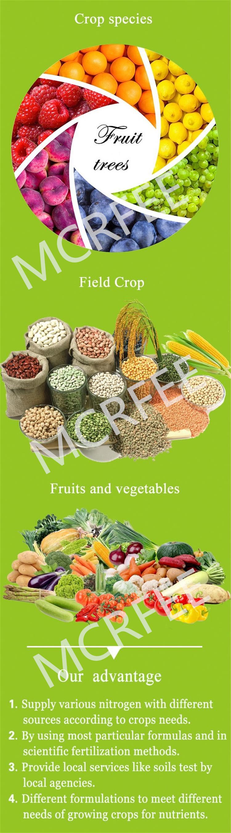 High Nitrogen NPK 15-15-15 Green Fertilizer for Crop