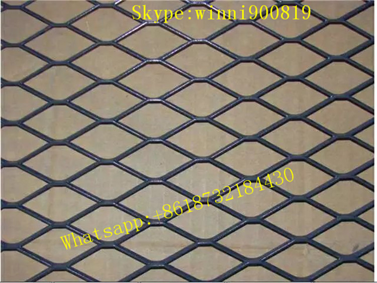 Chinese Professinal Factory Manufacture Expanded Metal Mesh