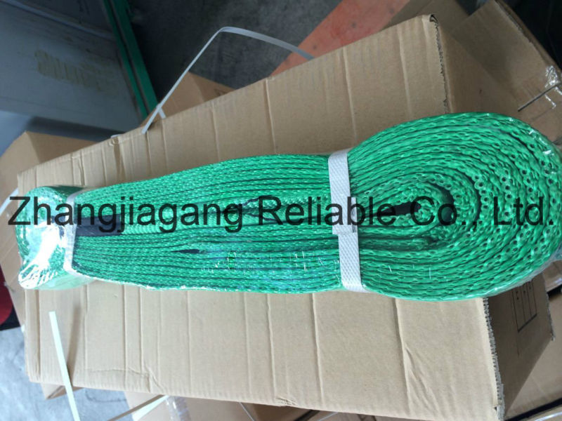 Polyester Webbing Sling Lifting Belt/Polyester Sling/Eye and Eye Flat