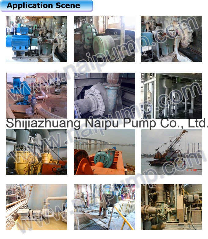 6/4 D-Ah Slurry Pump for Thermal Power Plant