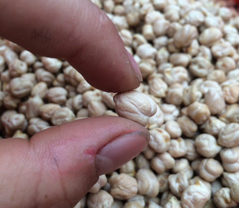 Organic Dried Chickpeas