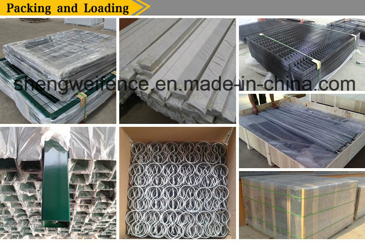 PVC Coated 3D Welded Garden Fence Panels