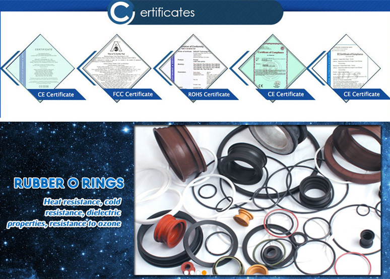 Silicon Carbide Ssic Rbsic Ring for John Crane Mechanical Seals