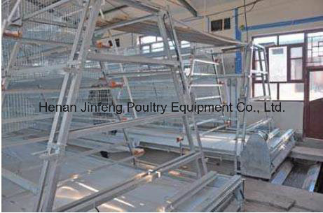 a Type Layer Broiler Pullet Chicken Cage Poultry Equipment