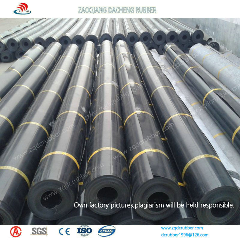 HDPE Smooth Geomembrane Used in Fish Farm