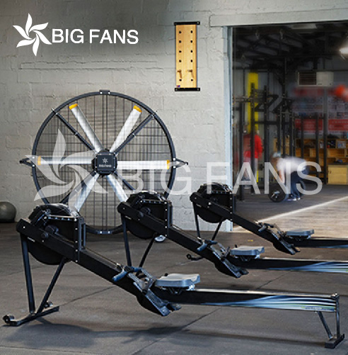 Big Size Mobile Industrial Fan High Quality Low Power Portable DC Stand Fan Prices