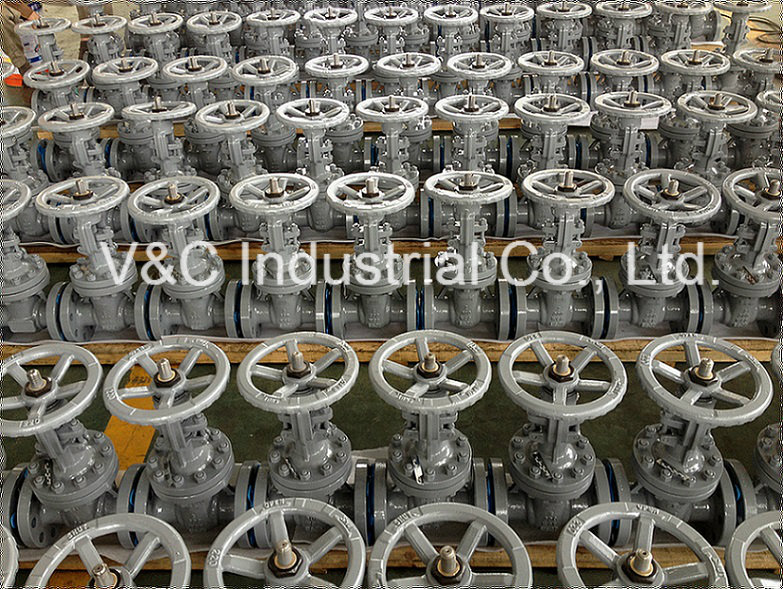 DIN Soft Seal Ductile Iron Flanged Gate Valve