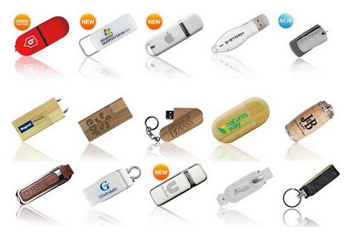 Custom Logo Printed USB Flash Memory Disk 2.0 8GB (ED038)