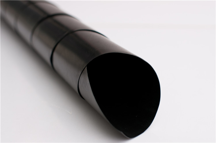 ASTM Standard HDPE LDPE Geomembrane with Factory Price