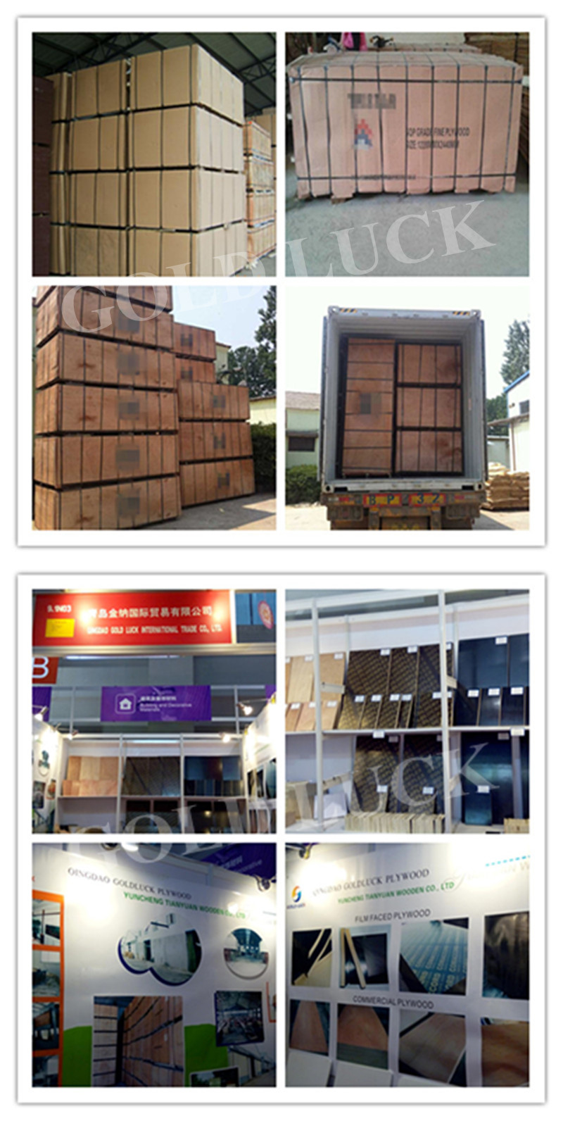 Construction Film Faced Plywood WBP / Marine Plywood (Poplar, Combi, Birch Core)