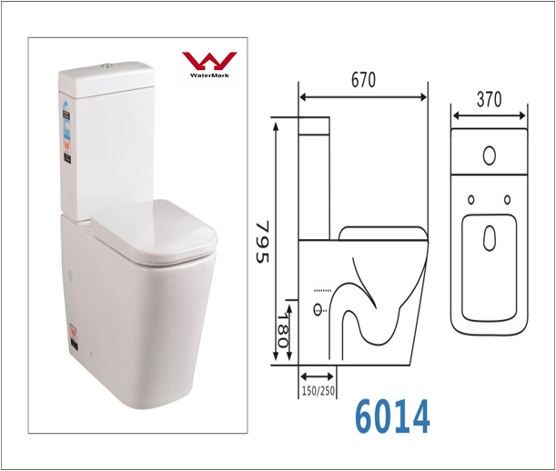 Washdown Ceramic Toilet with Ce/Watermark Certification (CVT6014)