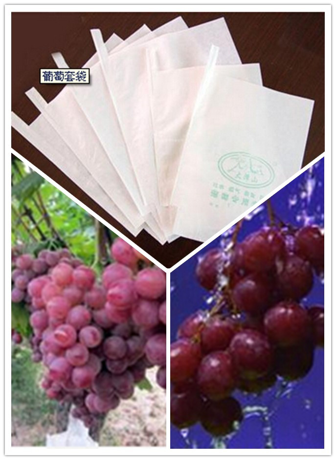 High Grade Composite Paper Brown Uvioresistant Nontoxic Fruit Growing Paper Bag for FUJI Apple to Increase Sugar Preserved in Fruits