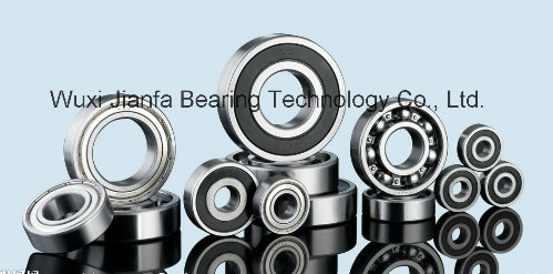 Ball Bearing Without Inner Ring