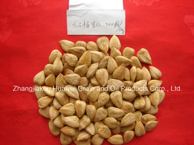 Sweet Almond (longwangmao 700 PCS/500g)