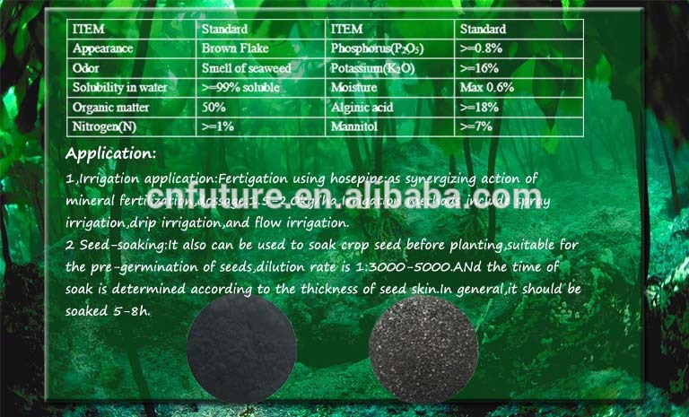 100% Water Soluble Organic Fertilizer Seaweed Extract