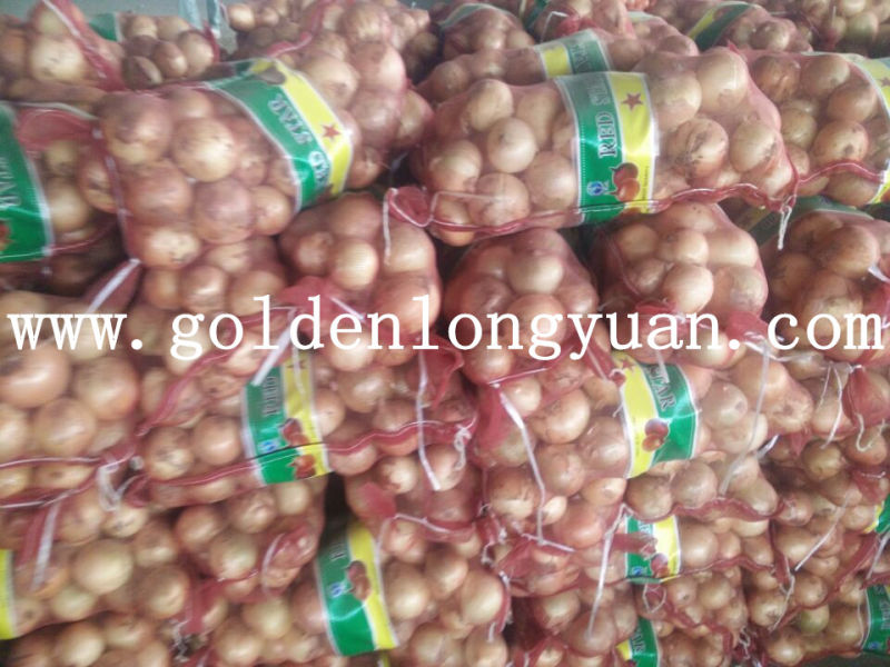 2016 Hot Sale High Quality Fresh Yellow Onion