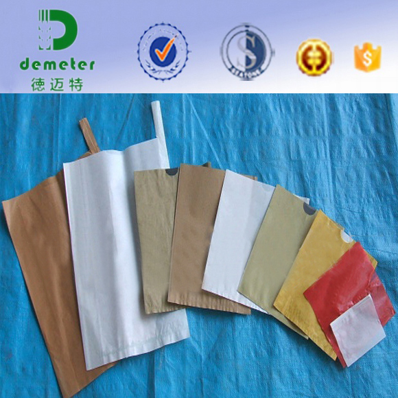 Manufacturer Supply Biodegradable Wax Coated Grape Grow Paper Bag Fruit Protect