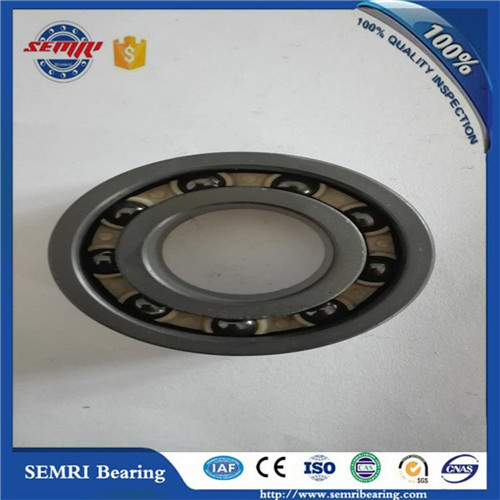 High Precision OEM Plastic Bearing (608) Competitive Price