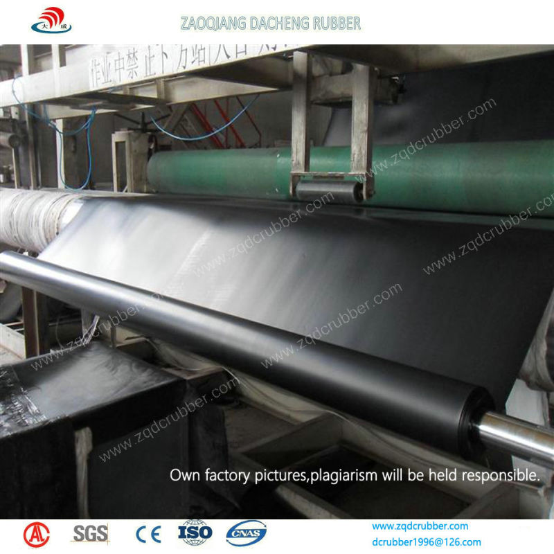 HDPE Smooth Geomembrane Used in Fish Farm