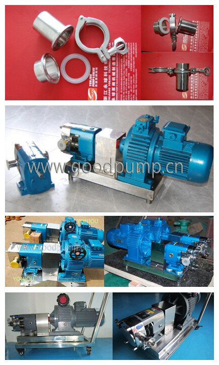 Sanitary Stainless Steel Lobe Pump