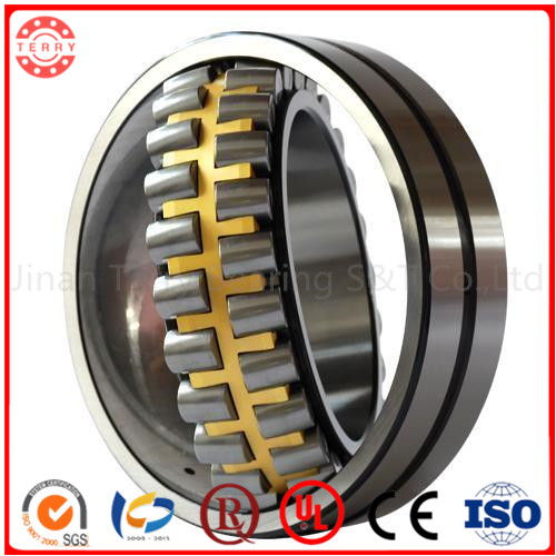 Bearing Spherical Roller Bearing (22217CC/WW33)