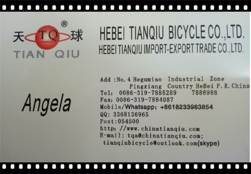 China Manufacture Bike, 12