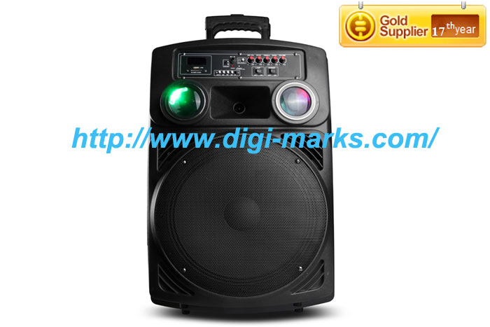 17 Years Supplier Super Bass Wireless Trolley Stage Speaker