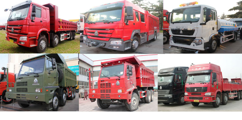 Sinotruk HOWO 8X4 30ton Dump Truck