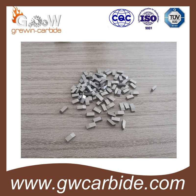 Tungsten Carbide Saw Tips with High Quality and Various Sizes