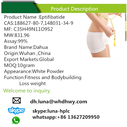 Fat Loss Powder T4 Slimming Capsule and Fitness L-Thyroxine