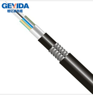 GYTA-24 Ccore Outdoor Fiber Optic Cable with Light Armored