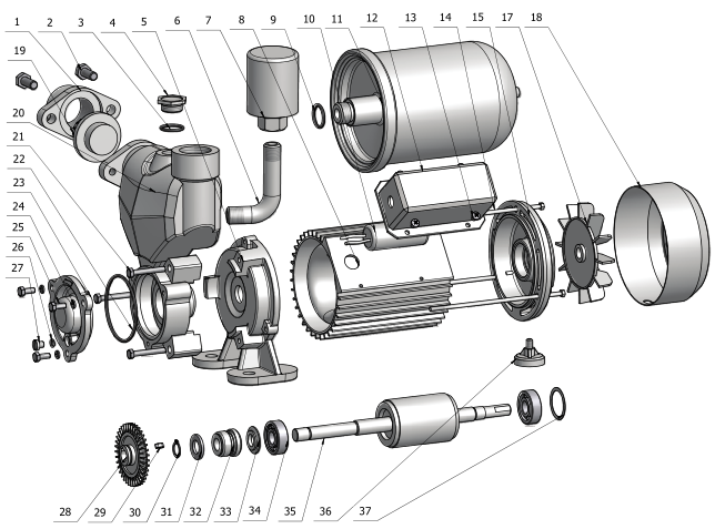 Hight Quality Self Priming Pump (WZB)