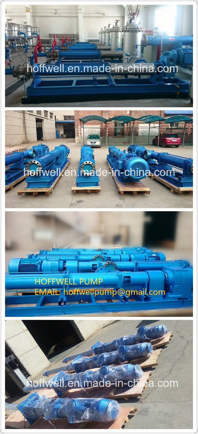 CE Approved G Series Single Screw Slurry Pump